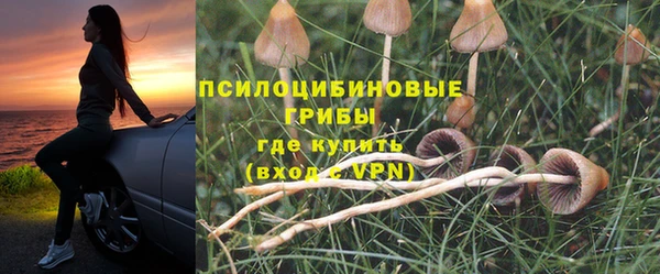 дмт Алзамай