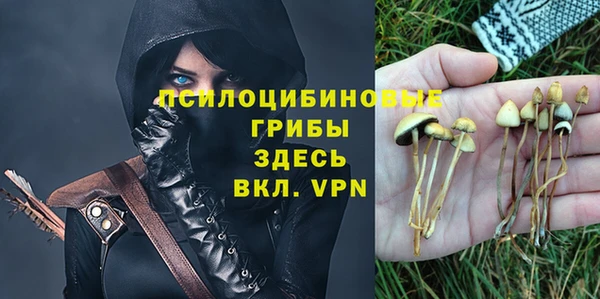 дмт Алзамай