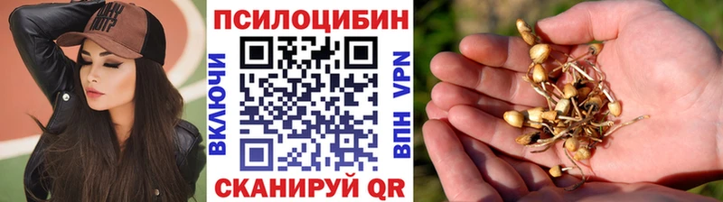 Галлюциногенные грибы прущие грибы Орлов